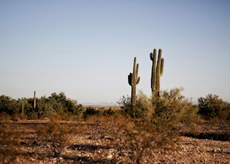 shaman-travel-reise-galerie-eindruecke-arizona-1
