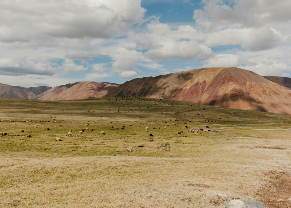 shaman-travel-reise-galerie-eindruecke-mongolei-4